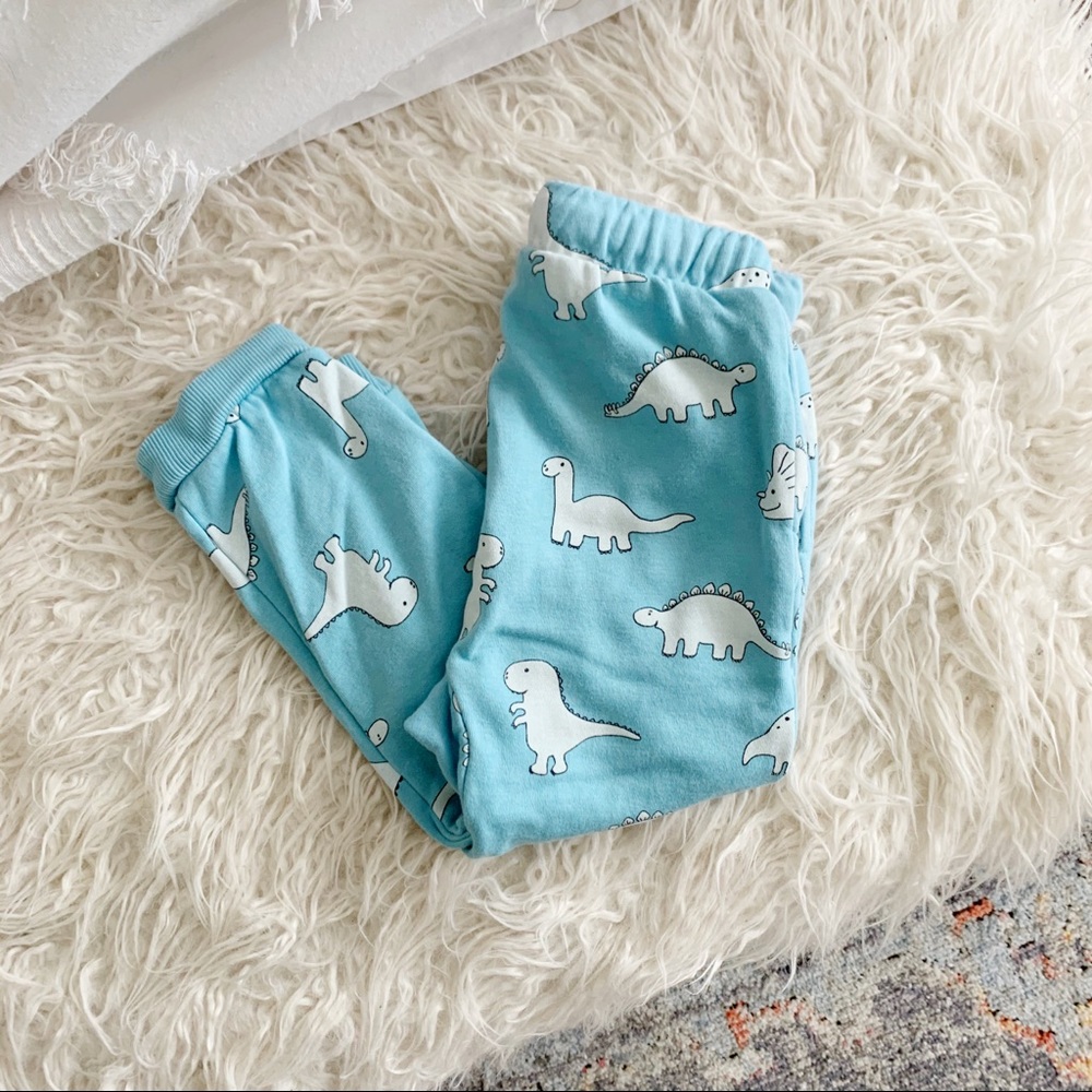 H&M Dino Sweatpants